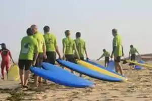 Kiwi surf1