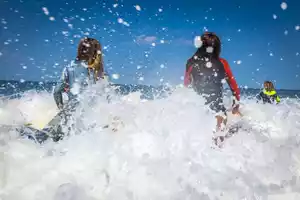 surf-bisca
