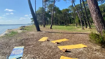 Redimension 1920x1080 - 6