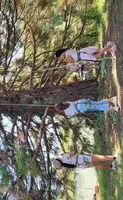 Grimpe dans les arbres 5
