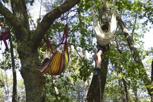 Grimpe d'arbre 4