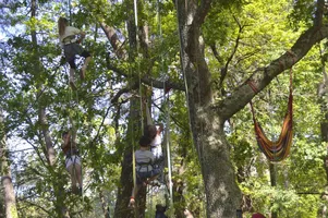 Grimpe d'arbre 5