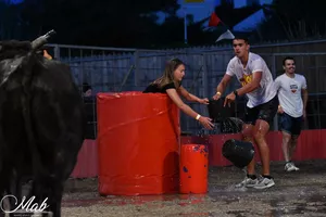 spectacle toro piscine