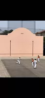 pelote