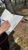 balade-dessinee-vivier-biscarrosse