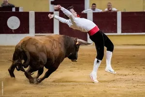 feria-parentis-en-born-2024-0