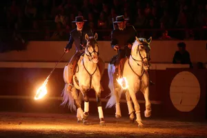 spectacle-landes-emotion-chevaux