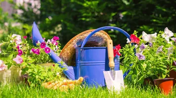 Les Floralies Les Floralies
