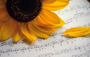 Fête de la musique