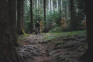 trail-velo