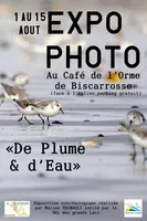 expo photo Marius Café de l'Orme avec le SDGL