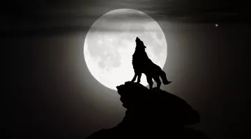 Loup-Garou de Thiercelieux - enfants