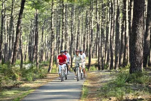 velo-amis-biscarrosse-velodyssee-foret