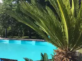 Breque piscine