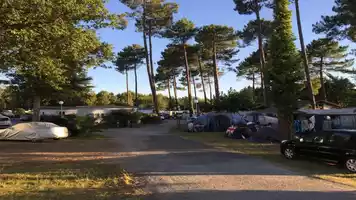 camping-les-echasses-allee
