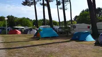 camping-les-echasses-emplacement2