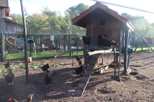 ferme-pédagogique-association-culturelle-biscarrossaise