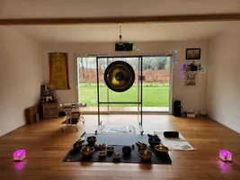 Vibralame instruments d'un bain sonore collectif